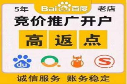 SEM服务案例：提升网站流量